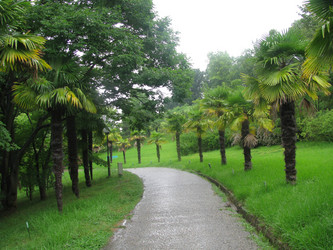 Similar image 732007