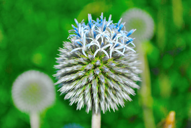 Similar image 732015