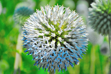 Similar image 732018