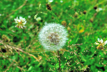 Similar image 732020