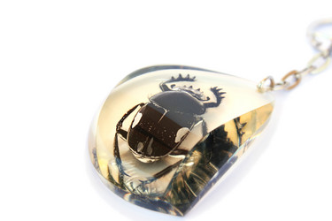 Similar image 732021