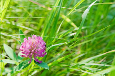 Similar image 732022