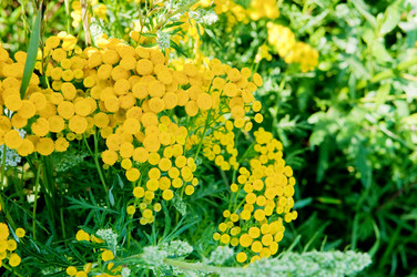 Similar image 732028