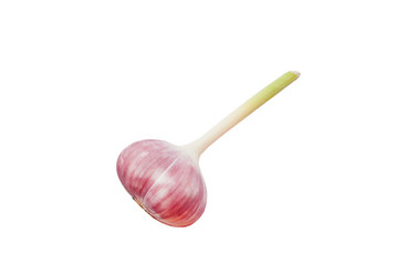 Similar image 732062