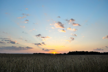 Similar image 732072