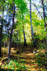 Similar image 732075