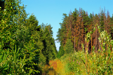 Similar image 732076