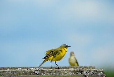 Similar image 732078