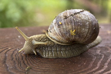 Similar image 732081