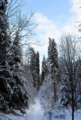 Similar image 732083