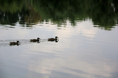 Similar image 732100