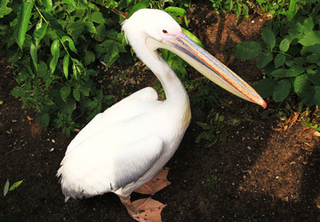 Similar image 732105