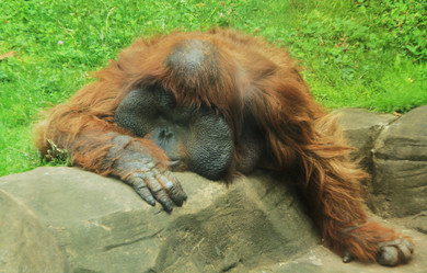 Similar image 732110