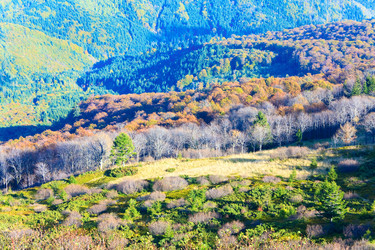 Similar image 732196