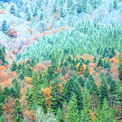 Similar image 732197