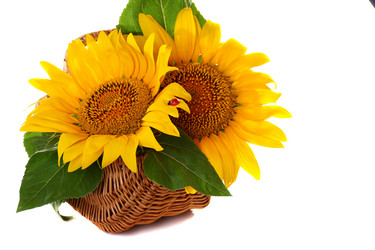 Similar image 732251