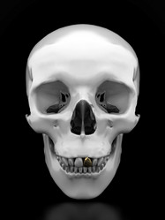 Similar image 732263