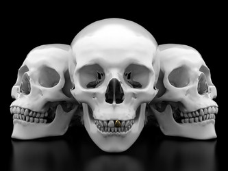 Similar image 732264