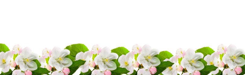 Similar image 732272