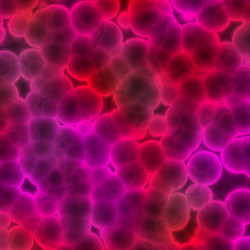 Similar image 732298