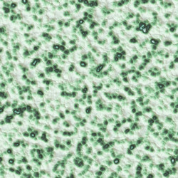 Similar image 732302