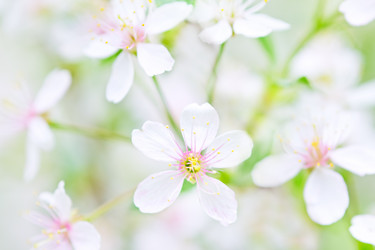 Similar image 732325