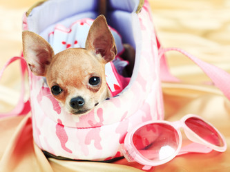 Similar image 732329