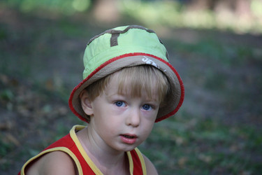 Similar image 732336