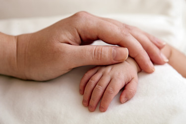 Similar image 732340