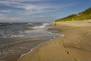 Similar image 732398