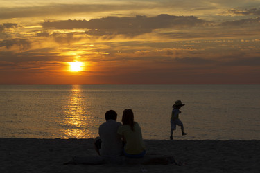 Similar image 732403