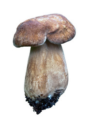 Similar image 732419