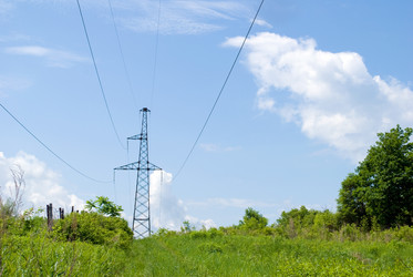 Similar image 732425