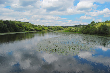 Similar image 732468