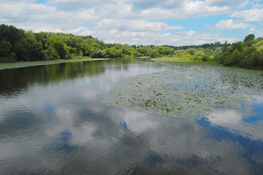 Similar image 732469