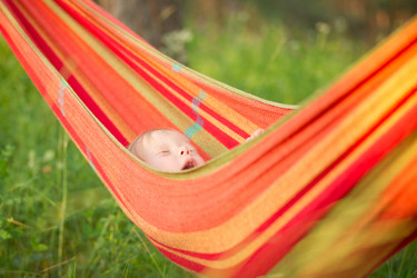 Similar image 732471