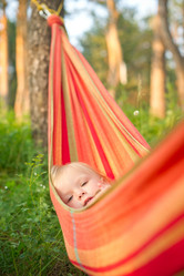 Similar image 732472