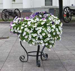 Similar image 732483