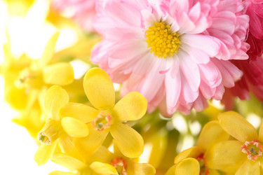 Similar image 732491