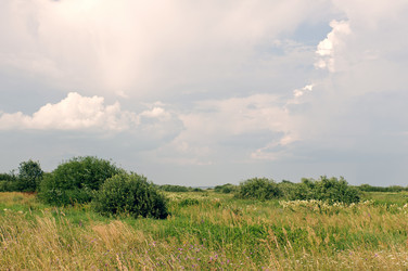 Similar image 732540