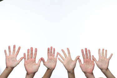 Similar image 732549