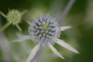 Similar image 732580