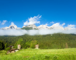 Similar image 732637