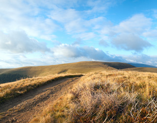 Similar image 732648