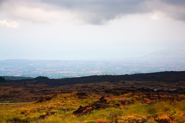 Similar image 732656