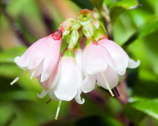 Similar image 732664