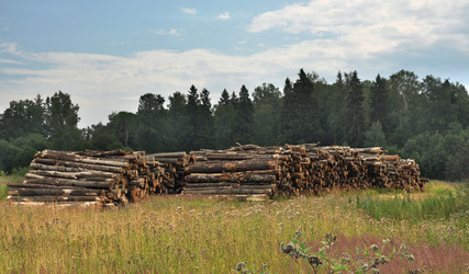 Similar image 732665