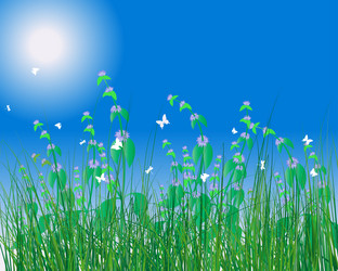 Similar image 732738