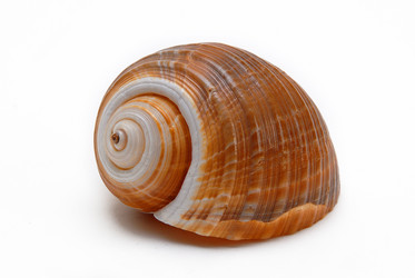 Similar image 732788