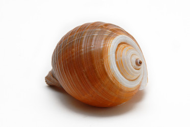 Similar image 732790